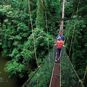 Sarawak National Parks
