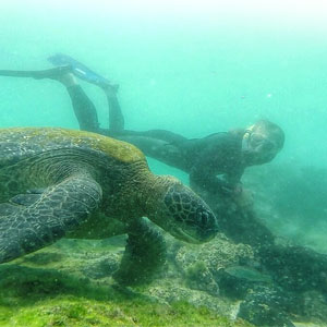 Galapagos multi activity travel guide
