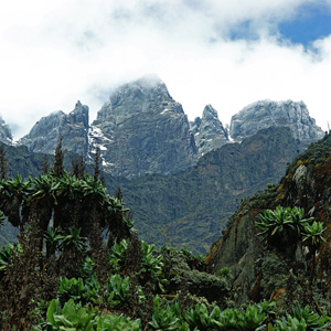 Things to see & do in the Rwenzori Mountains
