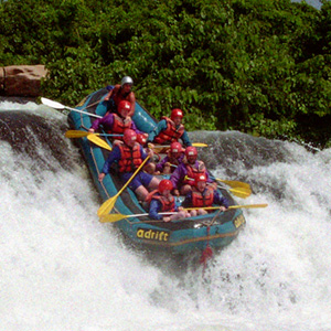 Things to do in Uganda