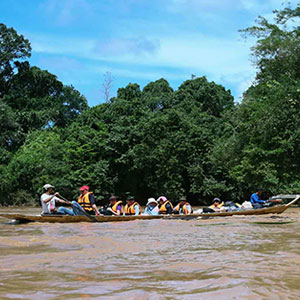 Benefits of a short tour to Sarawak