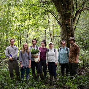Types of volunteering in Borneo