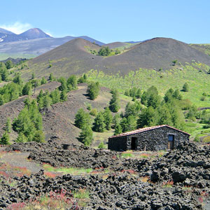Mt Etna & Sicilys volcanoes