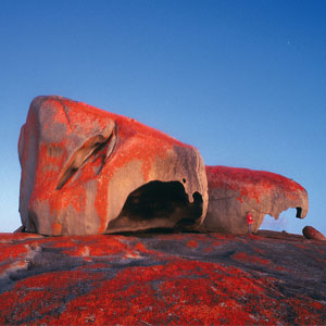 Australia travel guide