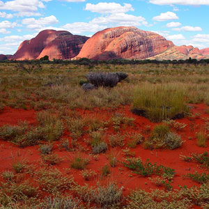 Things to see & do in the Northern Territory
