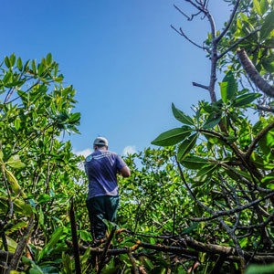 Rainforest volunteering in Belize