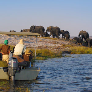 Chobe National Park, Botswana