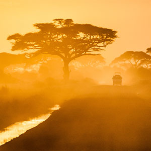 Safaris in Kenya
