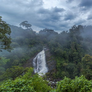 Best time to visit Kerala