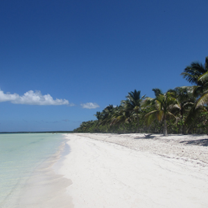 Best time to visit Cuba