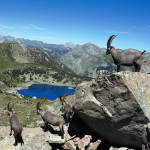 Walking holidays in Mercantour National Park