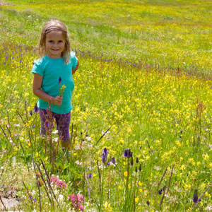 Where to go on a family holiday in Italy