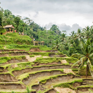 Things to see & do in Bali