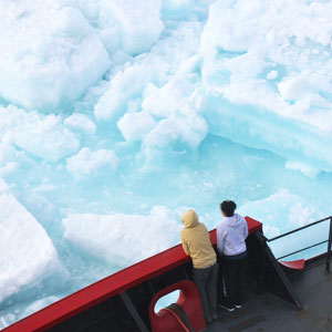 Arctic travel guide