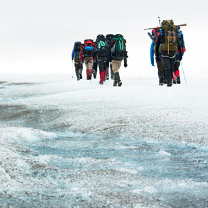 Activities & things to see in the Arctic