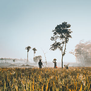 best time to visit java indonesia Java travel guide