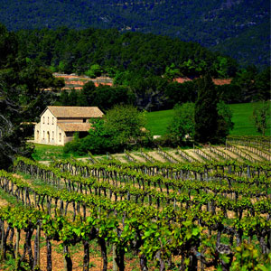Wine tasting holidays in Spain