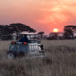Budget safaris travel guide