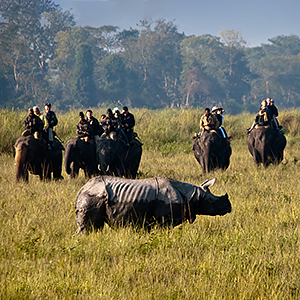Responsible wildlife tourism in India