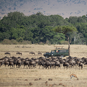 Best time to visit East Africa