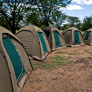Combining Kenya & Tanzania on a budget
