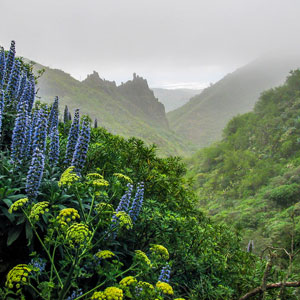 Canary Islands walking holiday highlights