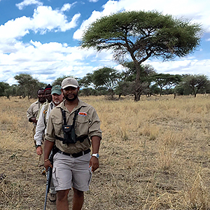 Different types of walking holidays