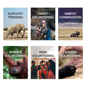All our volunteering guides