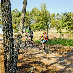 Top 5 cycling tours in Europe