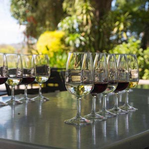 Things to see & do in Winelands, South Africa