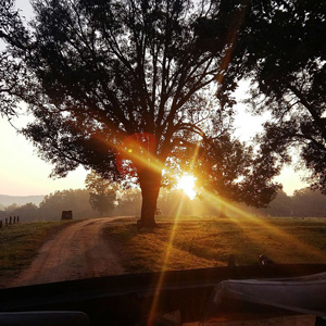 Best time to visit Kanha National Park 