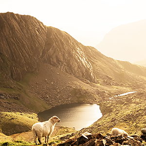 Snowdonia travel guide