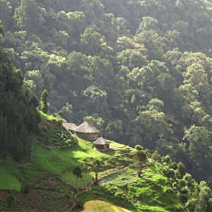 Trekking in Wof Washa Forest, Ethiopia