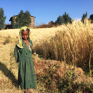 Trekking in Janamora & Simien Mountains