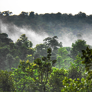 Best time to visit Chhattisgarh