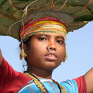 Culture in Chhattisgarh