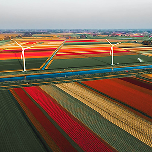 Best time to visit the Netherlands