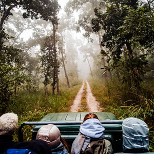 Best time to visit Chitwan National Park