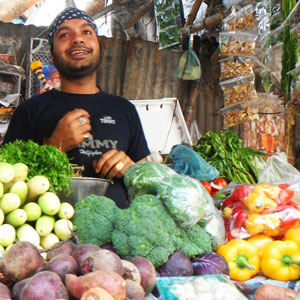Vegan travel advice