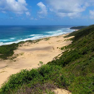 Safari & beach holidays in Kwazulu-Natal