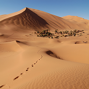 The Sahara Desert travel guide