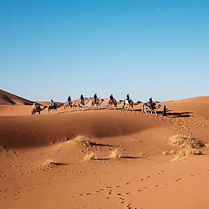 Things to do in the Sahara