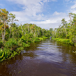 Kalimantan travel guide
