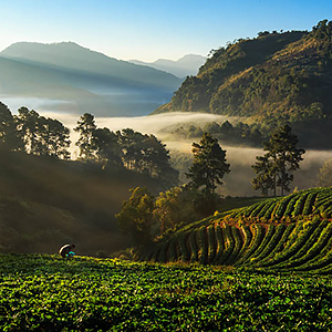 Thai hill tribes map & highlights