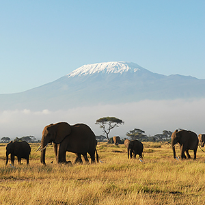 Best time to climb Kilimanjaro