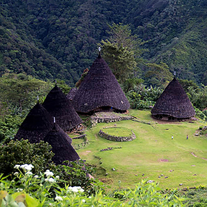 Flores travel guide