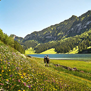 Walking tours in the Swiss Alps
