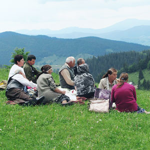 Responsible wildlife tourism in Romania