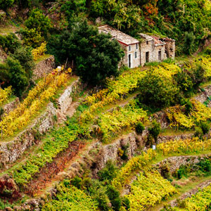 Rural accommodation travel guide