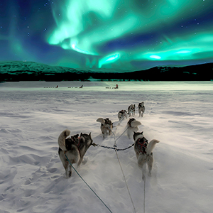 Northern Lights watching tips & advice